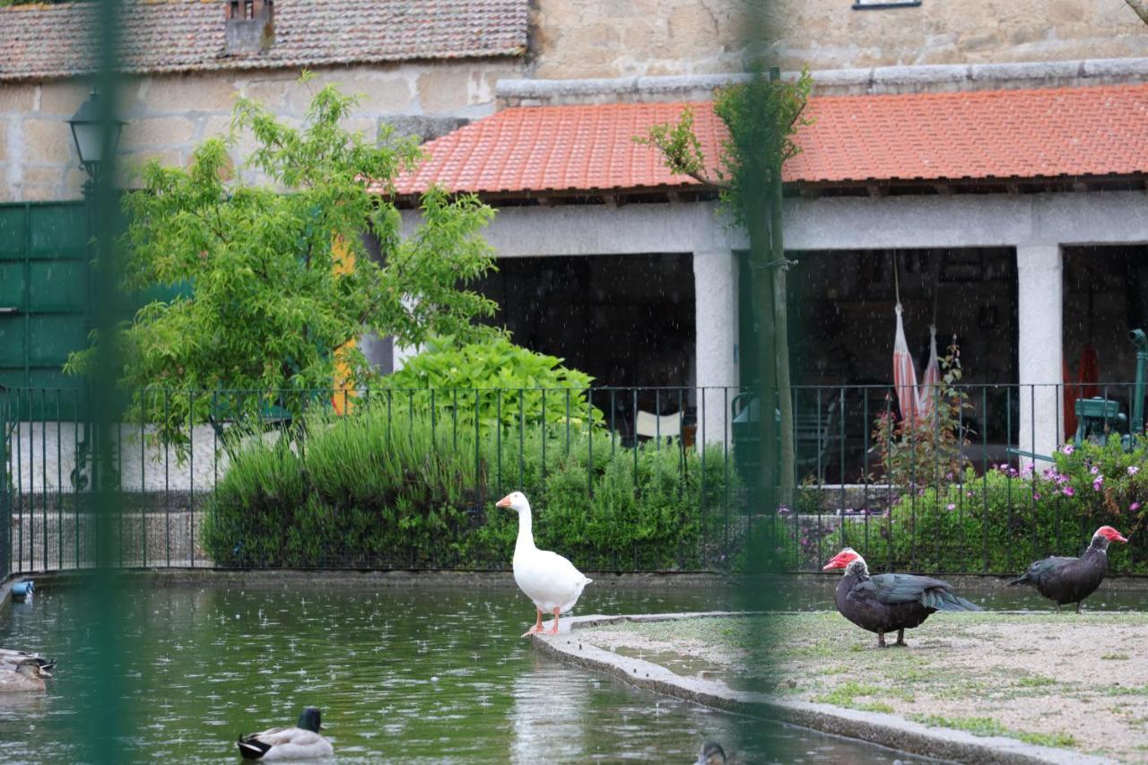 הוילה Pinhanços Quinta Dos Patos מראה חיצוני תמונה